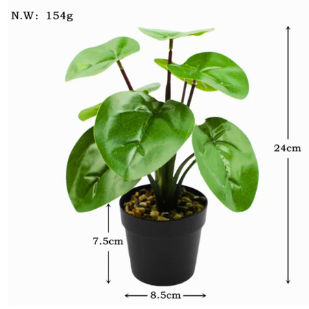 Ukryta Mini Kamera WIFI w kwiatek MKJH58
