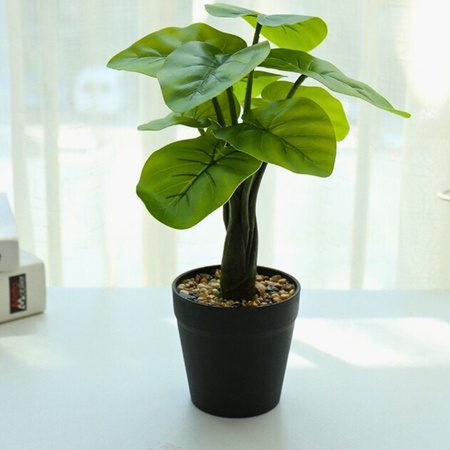 Ukryta Mini Kamera WIFI w kwiatek MKJH58