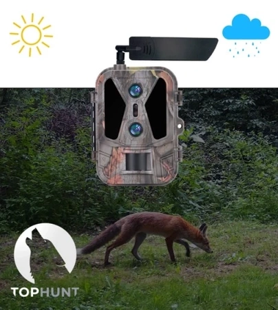 Kamera Leśna Fotopułapka 4K 4G LTE PODGLĄD na ŻYWO Aplikacja HC-950Pro AKU + preparat do wabienia dzików