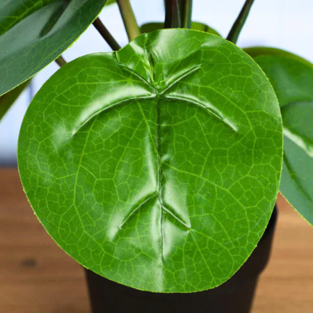 Ukryta Mini Kamera WIFI w kwiatek MKJH58