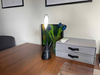 Lampa LED z Mini kamerą szpiegowską Wi-Fi Z65 + Głośnik BT (Podgląd Online)