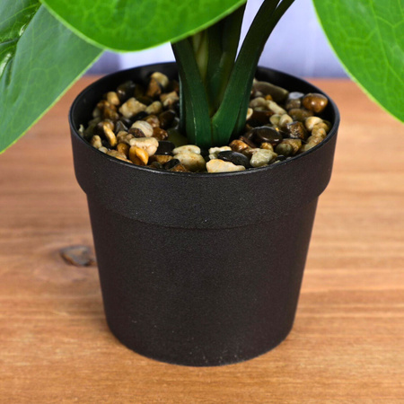 Ukryta Mini Kamera WIFI w kwiatek MKJH58