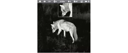 Kolimator termowizyjny InfiRay Holo HL25