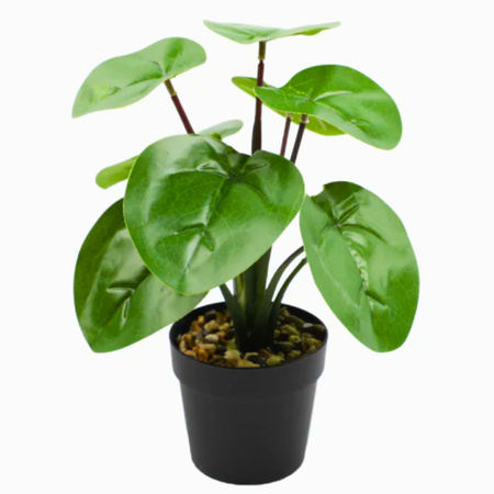 Ukryta Mini Kamera WIFI w kwiatek MKJH58