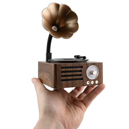 Ukryta Kamera WIFI w gramofon MKLS68